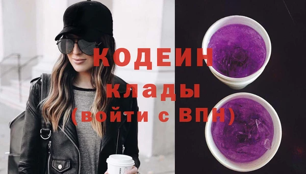 гашик Покровск