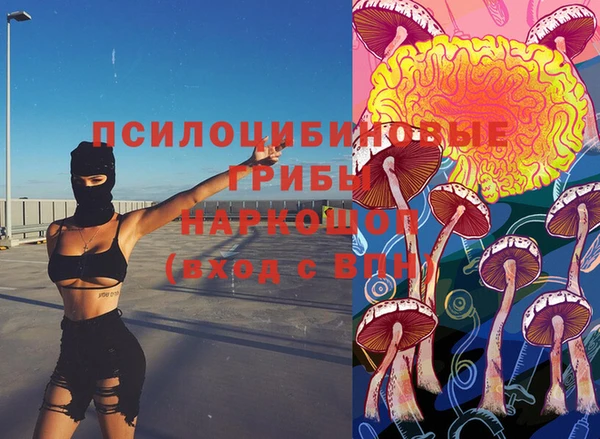 гашик Покровск