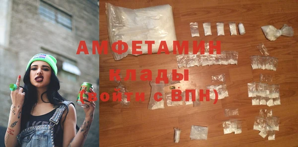 ГАЛЛЮЦИНОГЕННЫЕ ГРИБЫ Горно-Алтайск