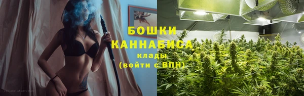 гашик Покровск